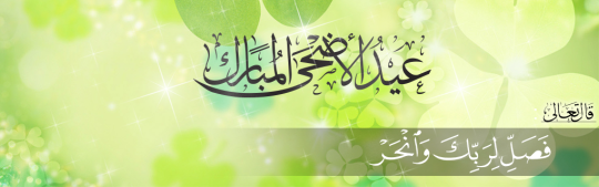 Aid Mobarak Said